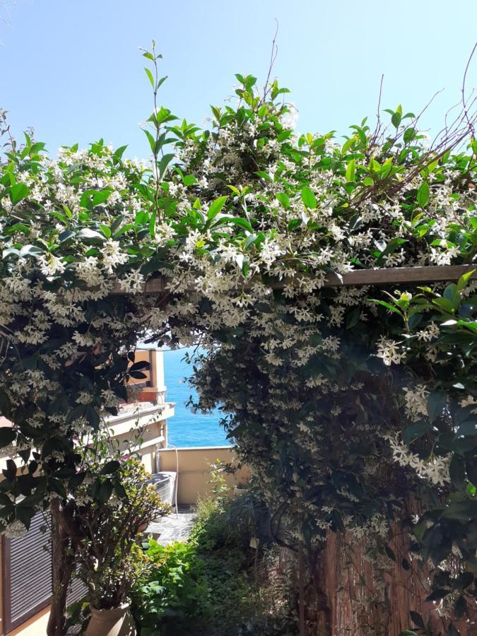 Raggio Di Luna Manarola Eksteriør bilde
