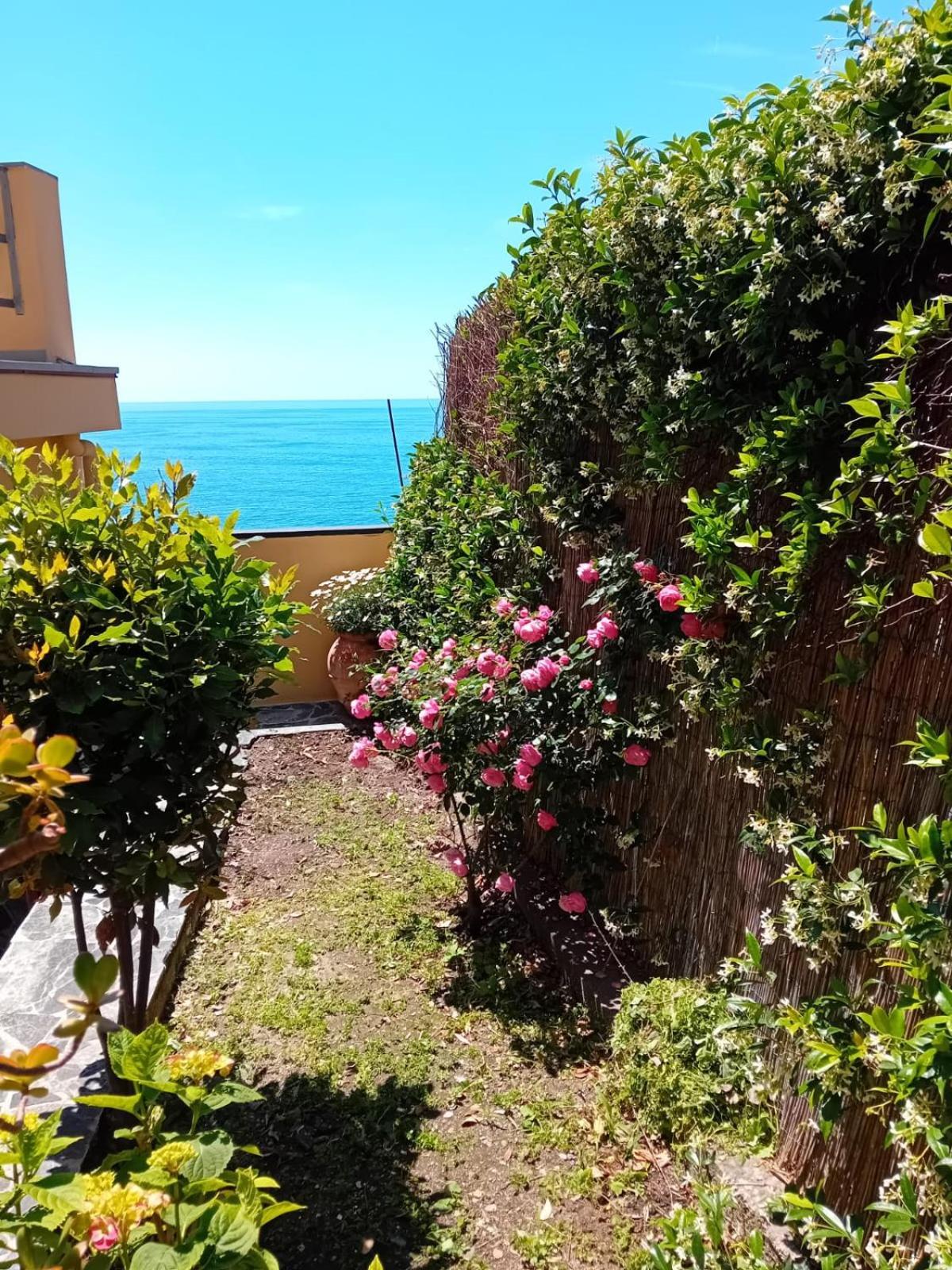 Raggio Di Luna Manarola Eksteriør bilde